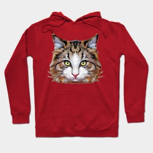 Meow Hoodie